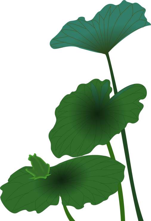 Lotus Leaves Illustration 